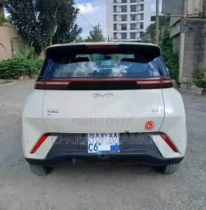 BYD Seagull 2025