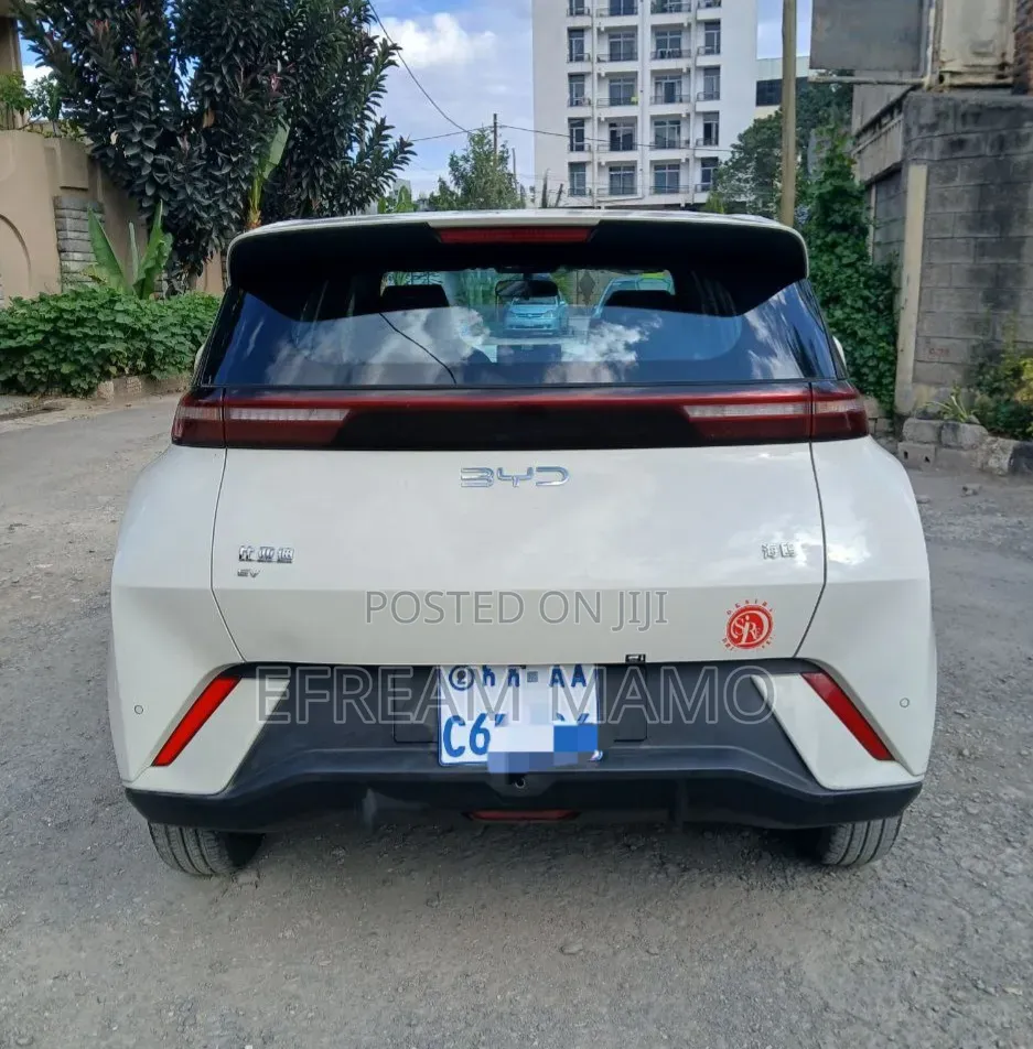 BYD Seagull 2025