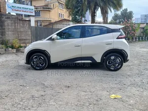 BYD Seagull 2025