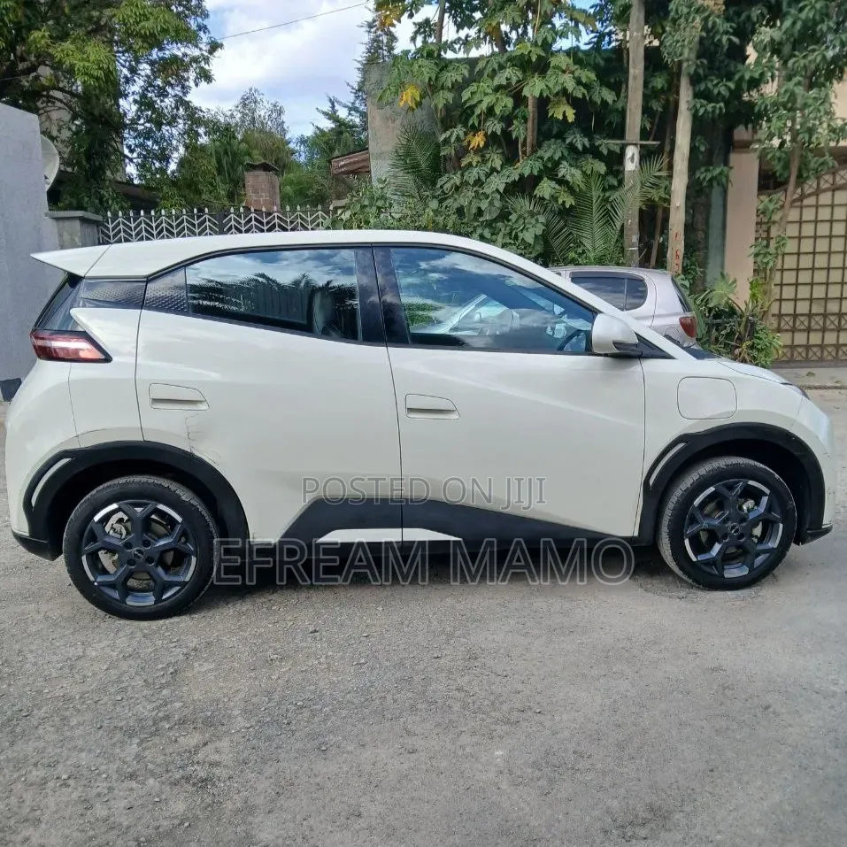 BYD Seagull 2025