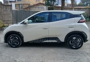 BYD Seagull 2025