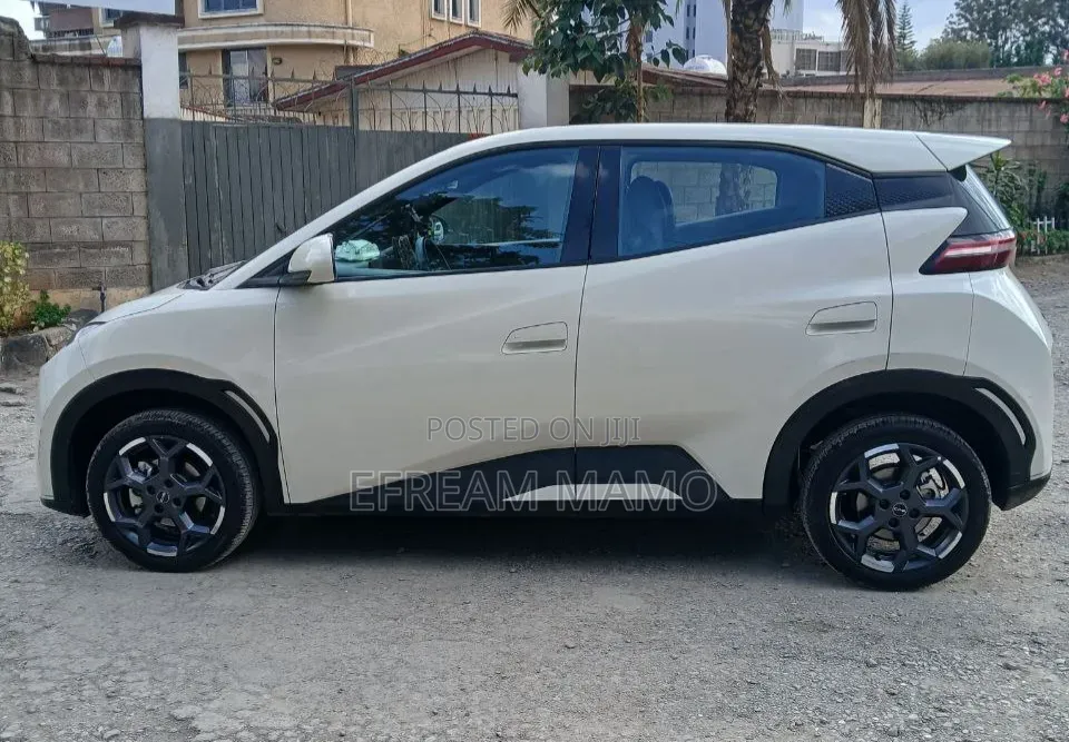 BYD Seagull 2025