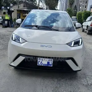 BYD Seagull 2025 White