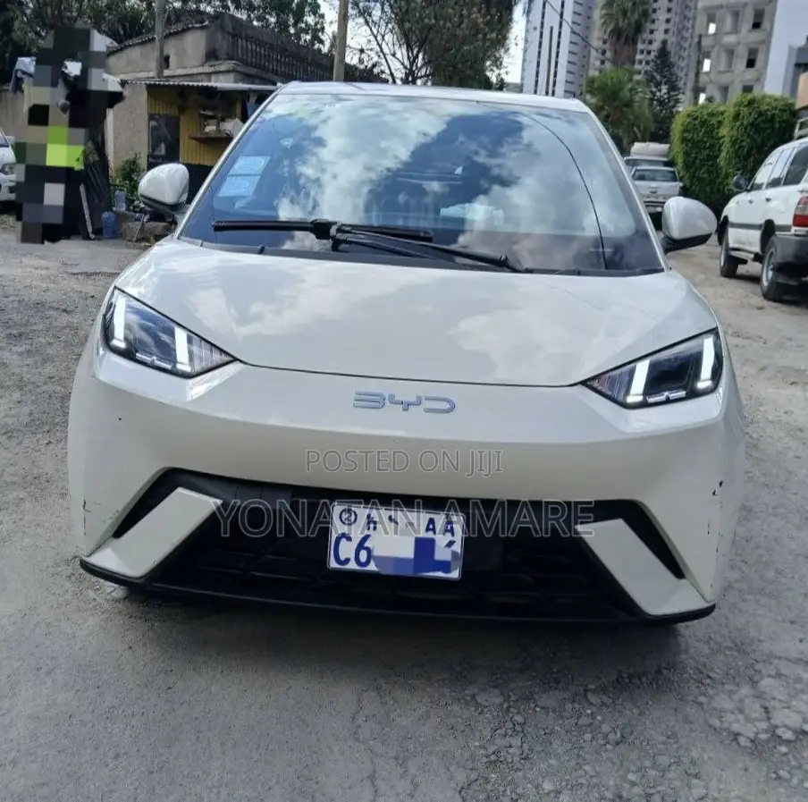 BYD Seagull 2025 White