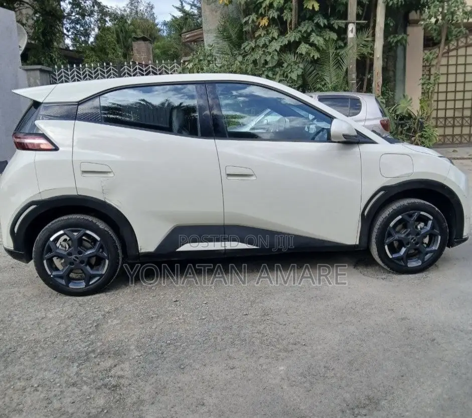 BYD Seagull 2025 White