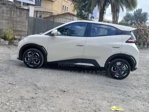 BYD Seagull 2025 White