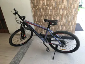Phoenix Mountain Bike