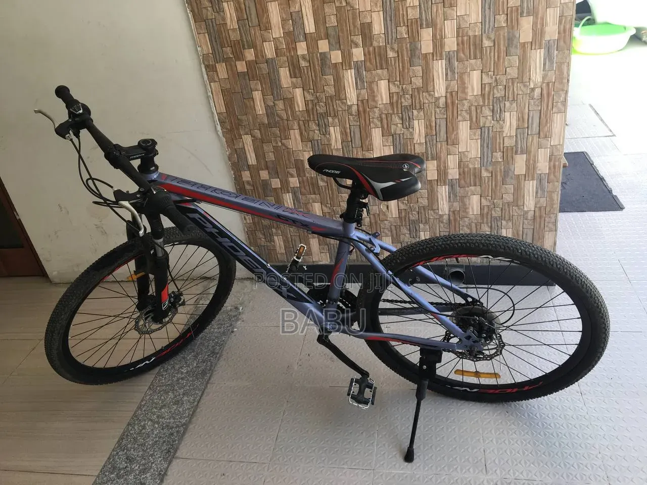 Phoenix Mountain Bike