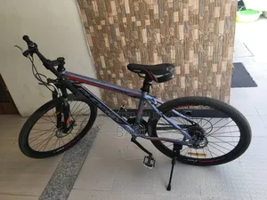 Phoenix Mountain Bike
