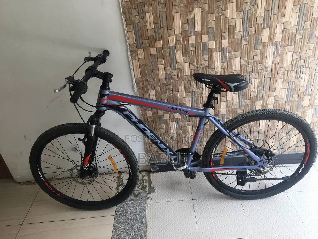 Phoenix Mountain Bike