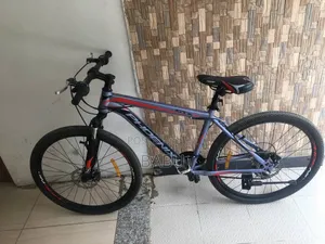 Phoenix Mountain Bike