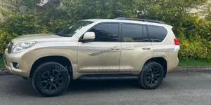 Toyota Land Cruiser 2009 Gold