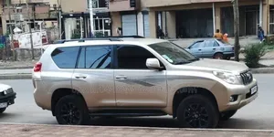 Toyota Land Cruiser 2009 Gold