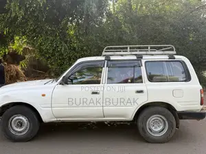 Toyota Land Cruiser 1994 White