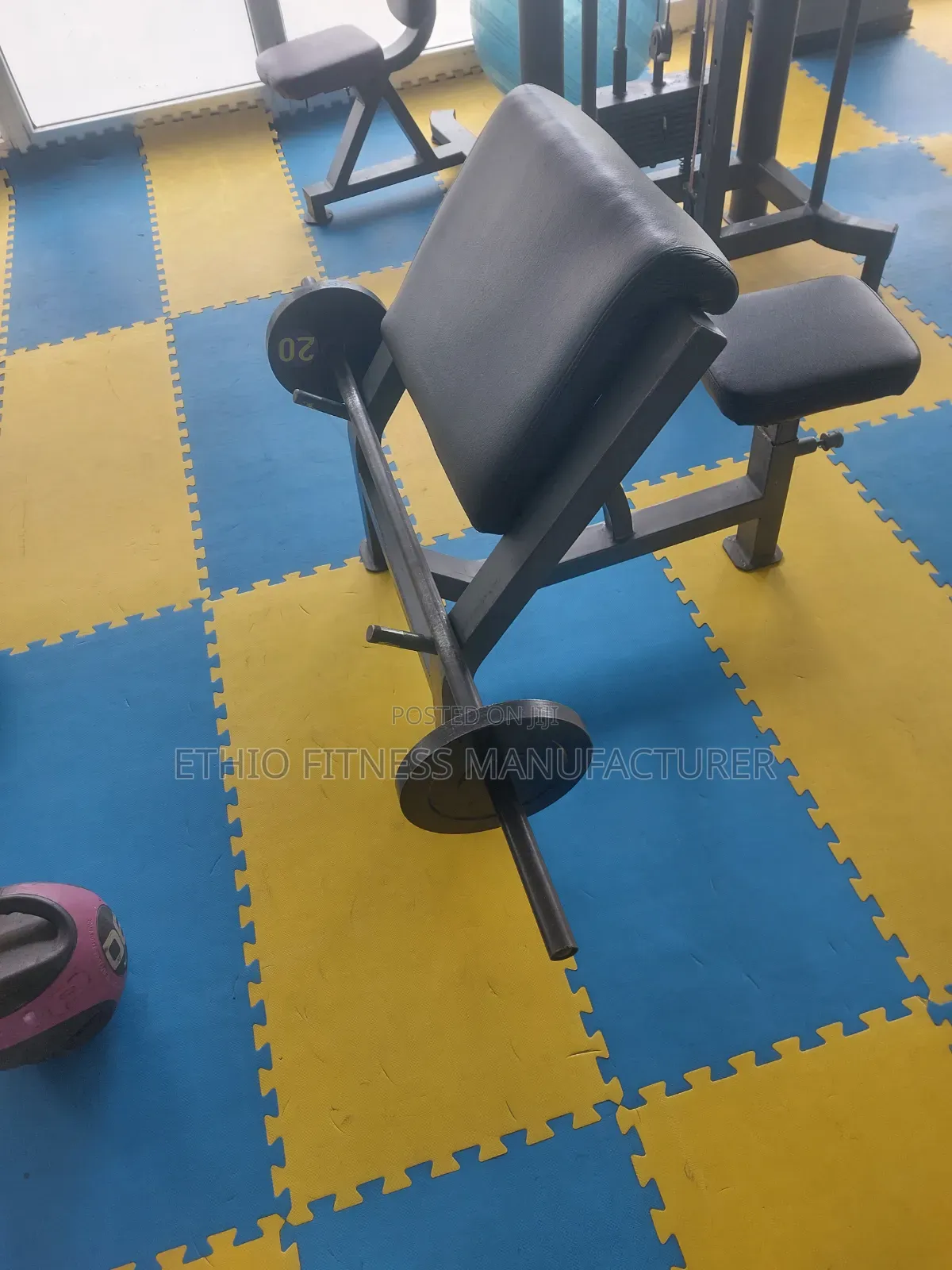 Fitness Curl Bench ምርጥ ምርጫ