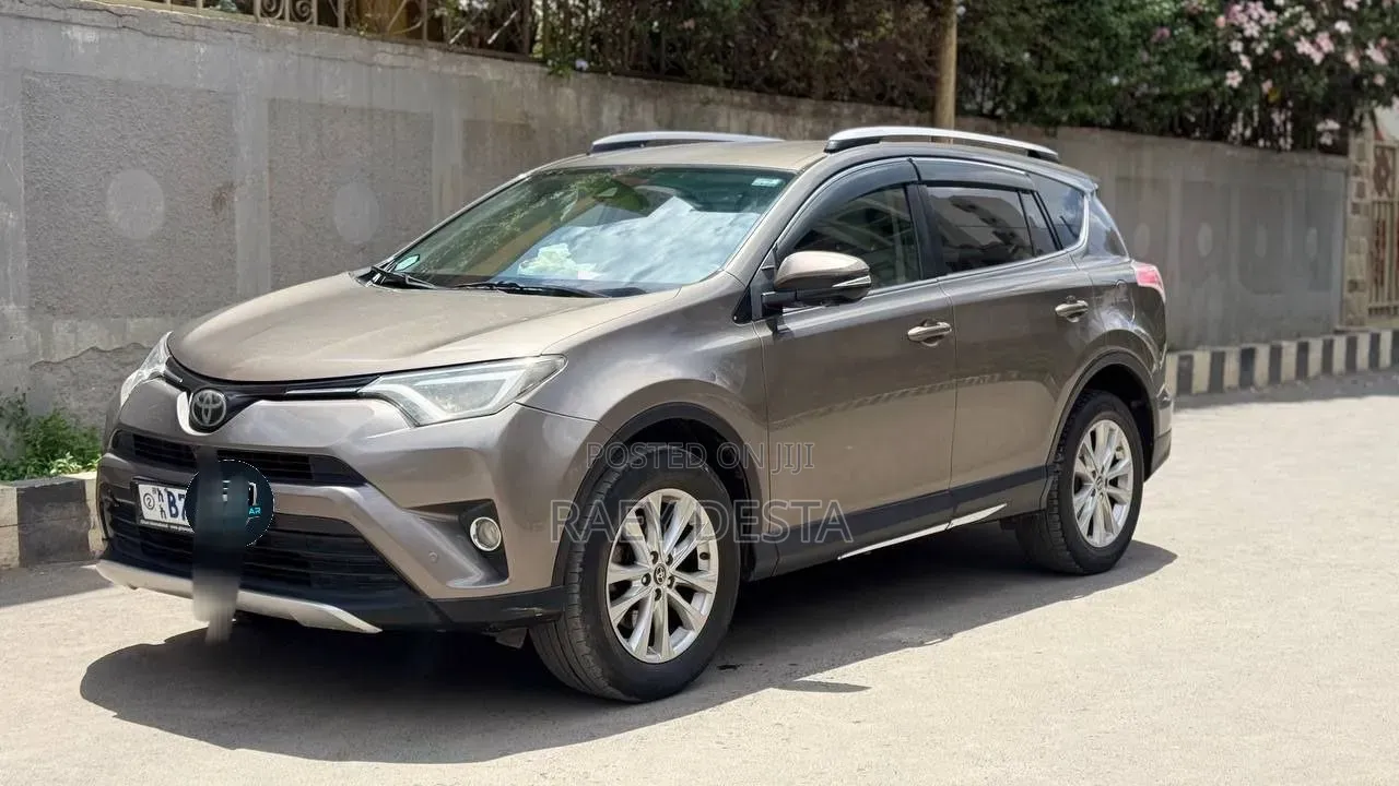Toyota RAV4 2018 Brown