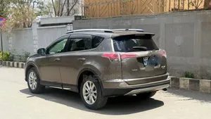 Toyota RAV4 2018 Brown