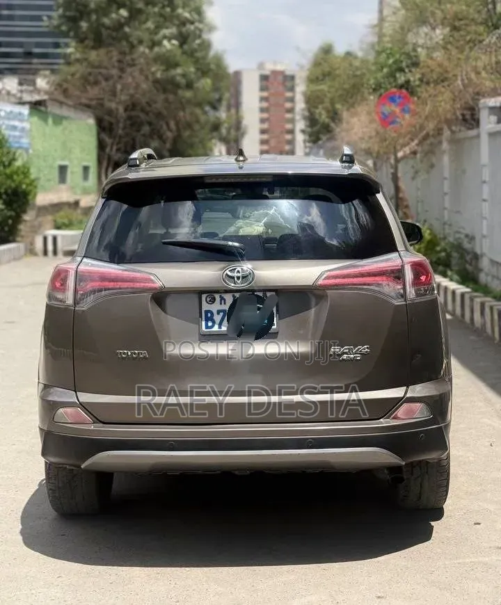 Toyota RAV4 2018 Brown