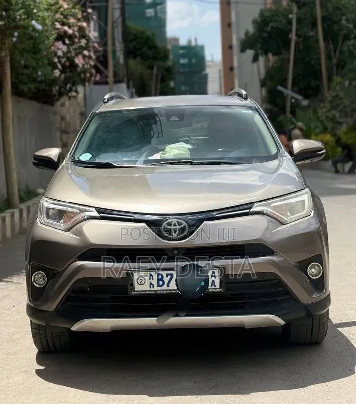 Toyota RAV4 2018 Brown