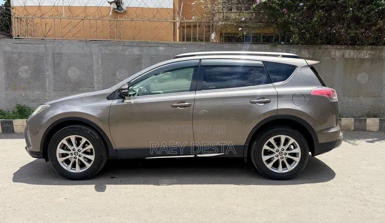 Toyota RAV4 2018 Brown