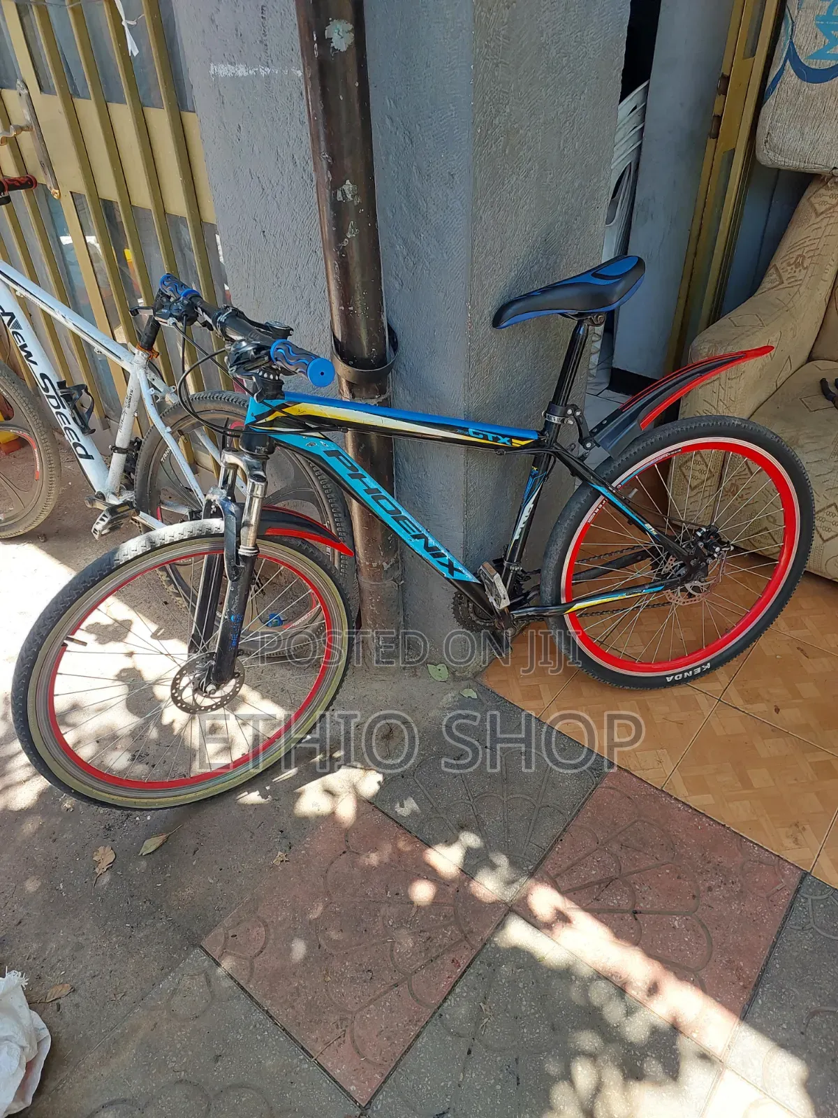 Phoenix Bicycle,ሳይክል,Cycle