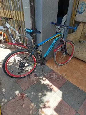 Phoenix Bicycle,ሳይክል,Cycle