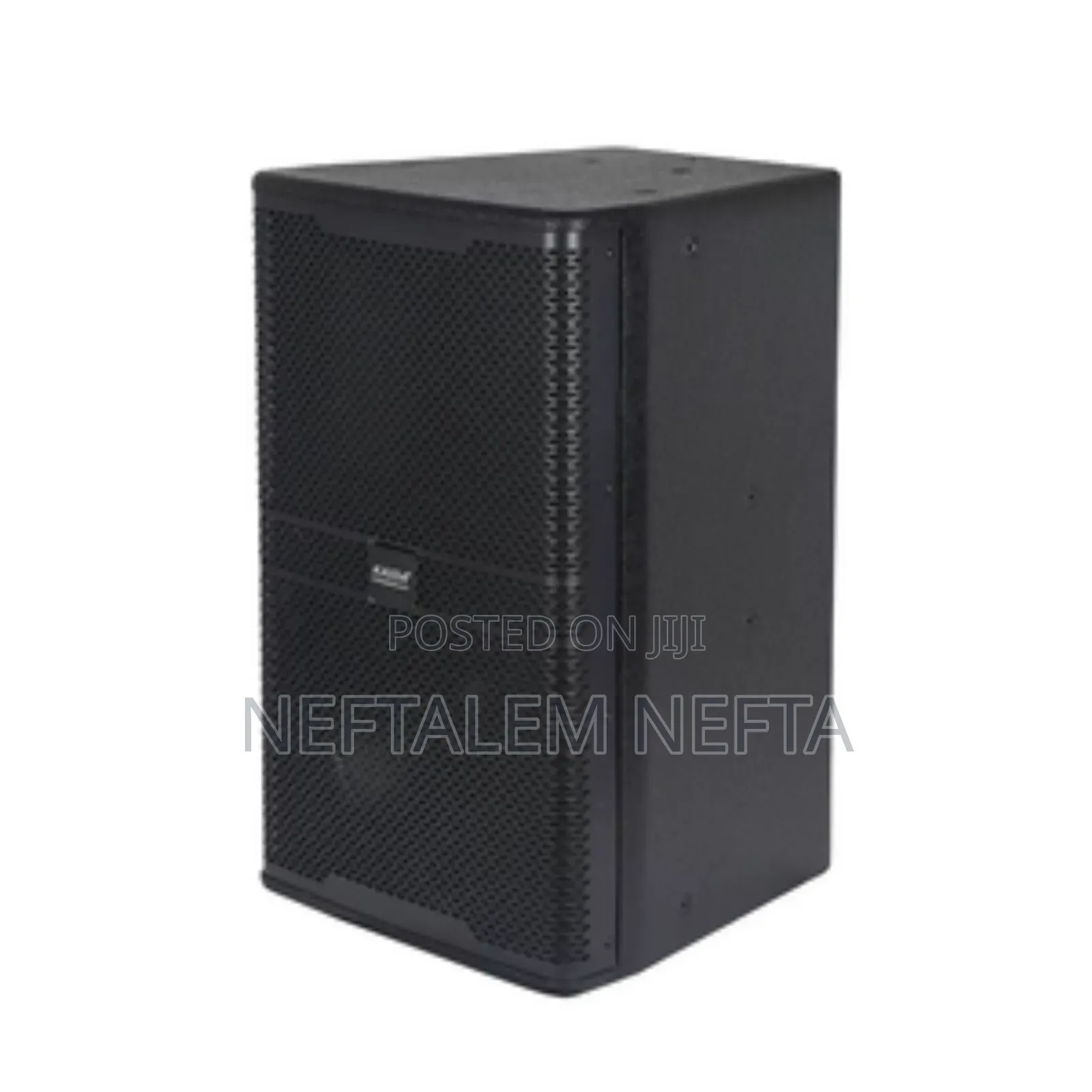 Stage Speaker