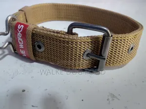 Collar Different Size Coler