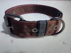 Collar Different Size Coler
