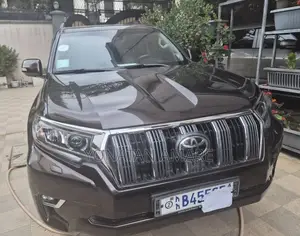 Toyota Land Cruiser Prado 2019
