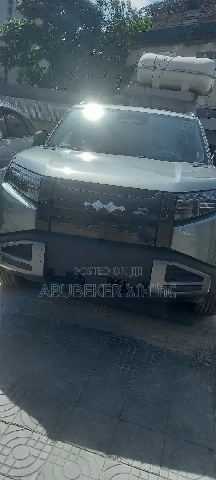 New BYD Leopard 3 2025 Gray