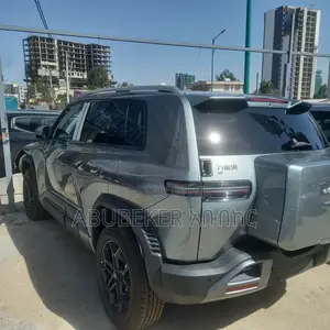 New BYD Leopard 3 2025 Gray