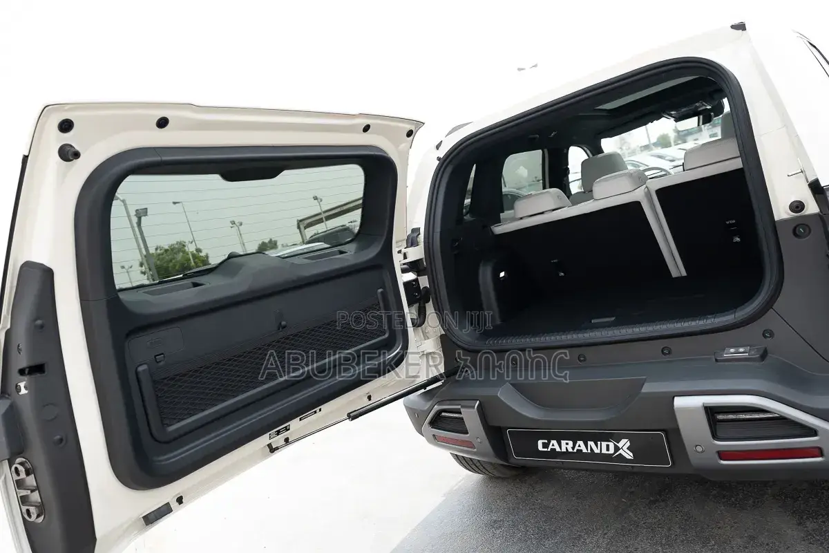 New BYD Leopard 3 2025 Gray