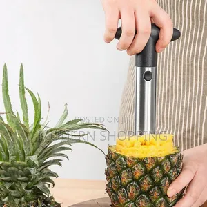 Pineapple Cutter Slicer Peeler