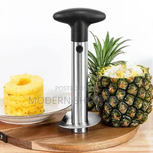 Pineapple Cutter Slicer Peeler