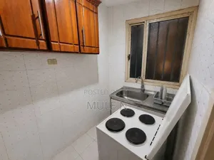 Furnished 2bdrm Condo in Afincho Ber, Gullele for sale