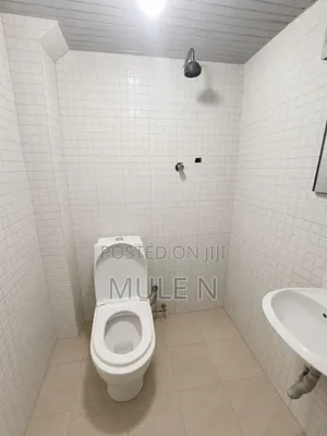 Furnished 2bdrm Condo in Afincho Ber, Gullele for sale
