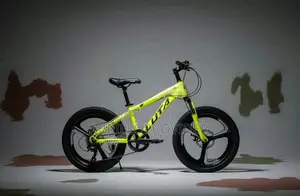 Luta 20 Inch Bicycle