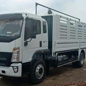 Sinotruck Homan 4*2light Truck