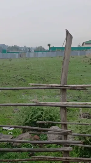 የሚሸጥ 10000, ካሬ መሬት