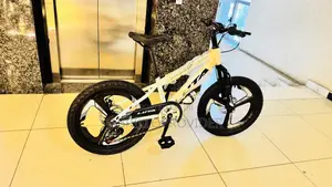 Luta Kids Bike 20哥哥inch