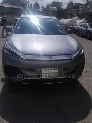 BYD Yuan Plus 2024 Gray
