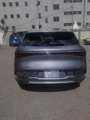 BYD Yuan Plus 2024 Gray