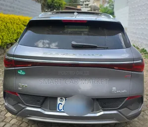 BYD Yuan Plus 2024 Gray