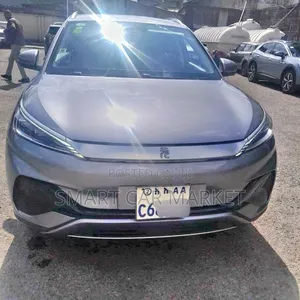 BYD Yuan Plus 2024 Gray