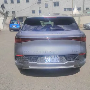 BYD Yuan Plus 2024 Gray
