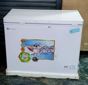Everest Deep Frizzer