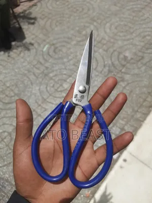 Dajiexing Brand P02 Model Scissors