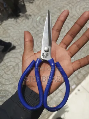 Dajiexing Brand P02 Model Scissors