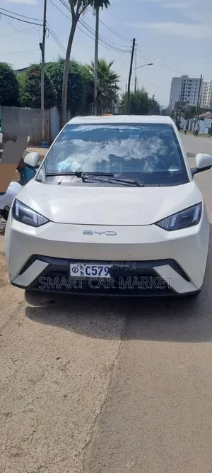 BYD Seagull 2024 Black
